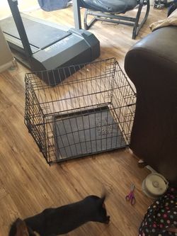 Medium dog crate