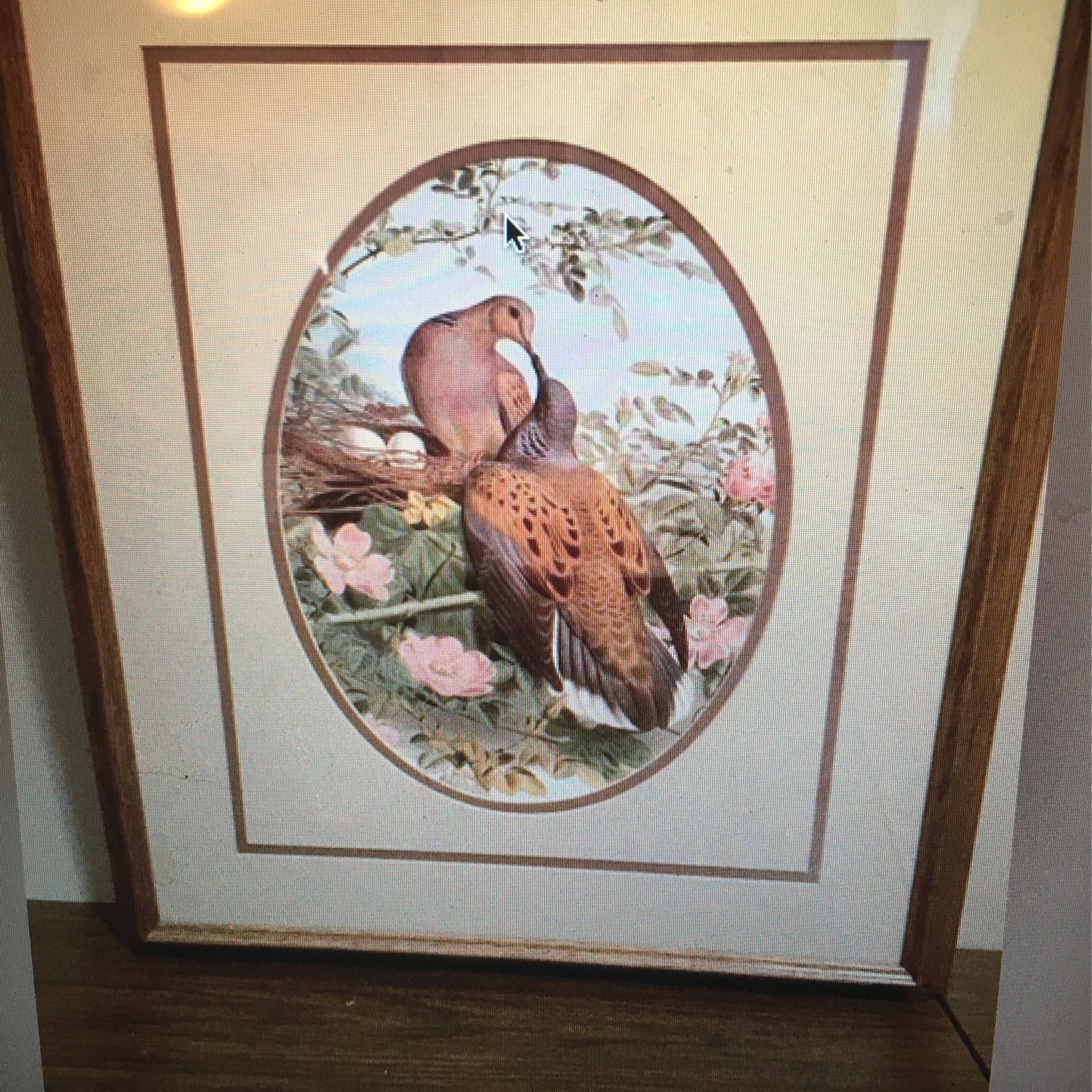 (3) Vintage BASIL EDE wood franed prints Whitethroat, Spotted Flycatcher, Turtle Doves 70s 80s