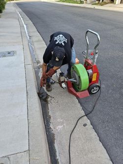 Snake Drain