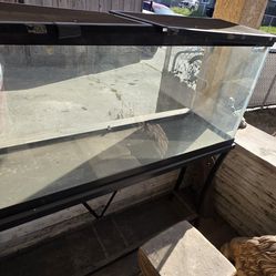 50 gallon fish tank reptile terrarium