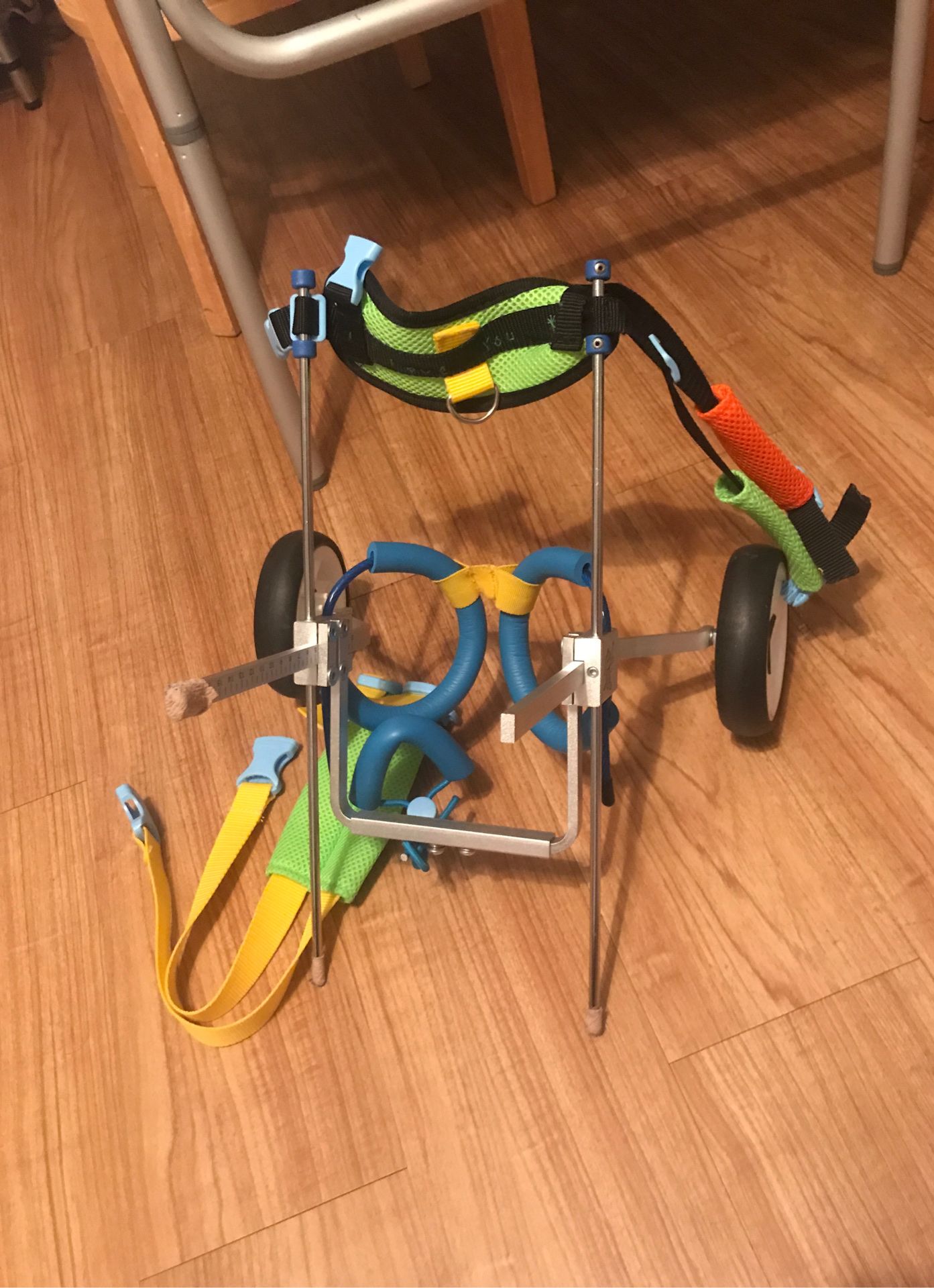 Pet wheelchair ready to go