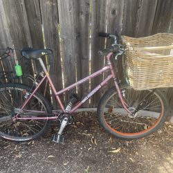 80s Schwinn Women’s All Terrain Pooch Hauler