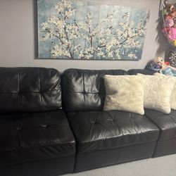 Black Couch 