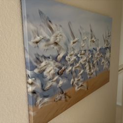 Bird Picture Wall Art
