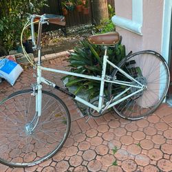 Raleigh Chopper Road Cruiser Bike Bicycle