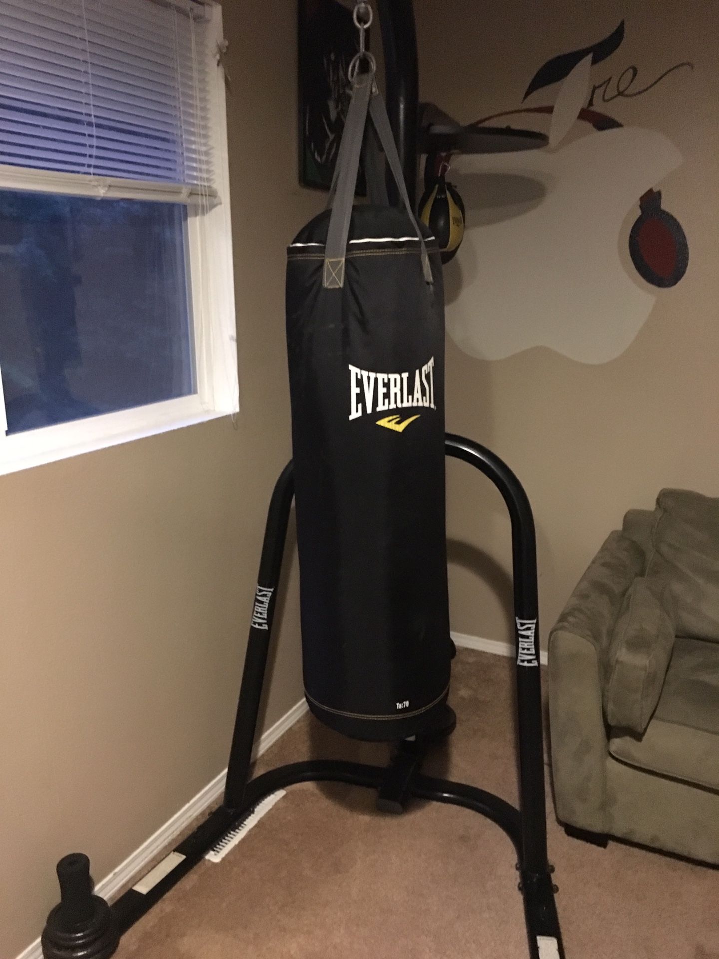 Everlast bag, stand, speed bag