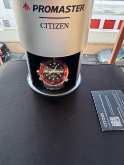 Citizen Promaster Aqualand Eco-Drive Professional 200M Diver (Model BN2039-59E)