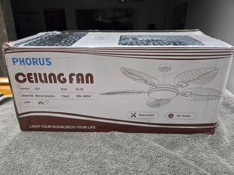 Ceiling Fan (new)