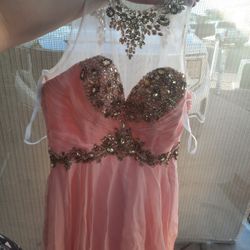 Pink Long Dress (Corset)