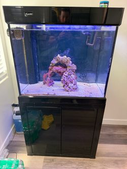 Fish tank