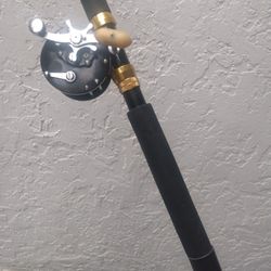 Penn Delmar #285 Fishing Reel Saltwater Fishing & 7ft Custom Rod 