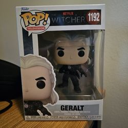 The Witcher