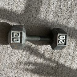 (1) 20 LB Dumbbell 