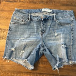 Torrid Jean Short 