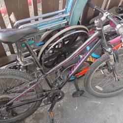 Specialized  Hot Rock 24