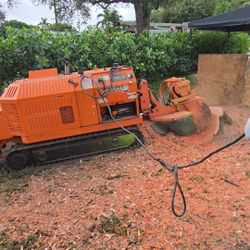Stump Grinding  