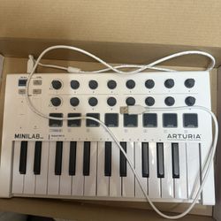 MINILAB MK2