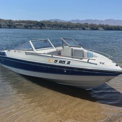 1989 Wellcraft 19 Ft . Open Bow . Clean Lake Boat 