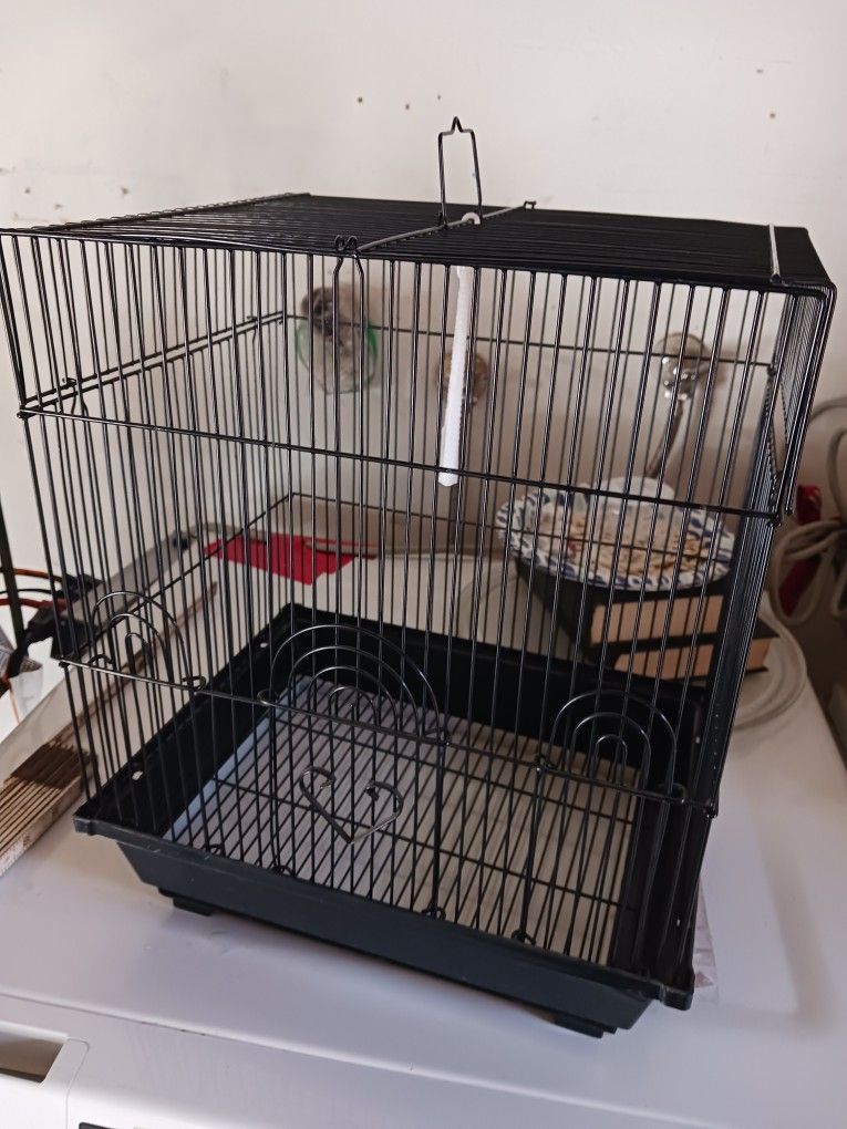 Bird Cage