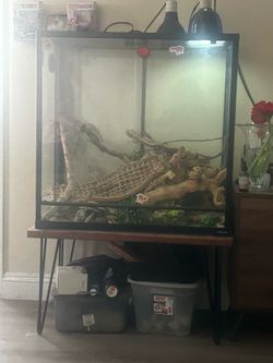 Reptile tank only