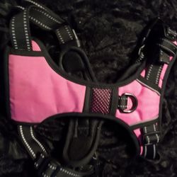 Dog Harness 