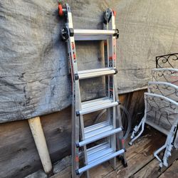 Ladder (Free Delivery🚚)