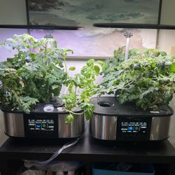 LetPot Hydroponic Growing System- 2 Available