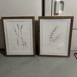 Plant Picture Frames 14.5”x18.5”