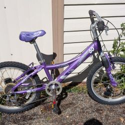 Trek Mountaintrack 60 20" Wheel Kids Bicycle Purple