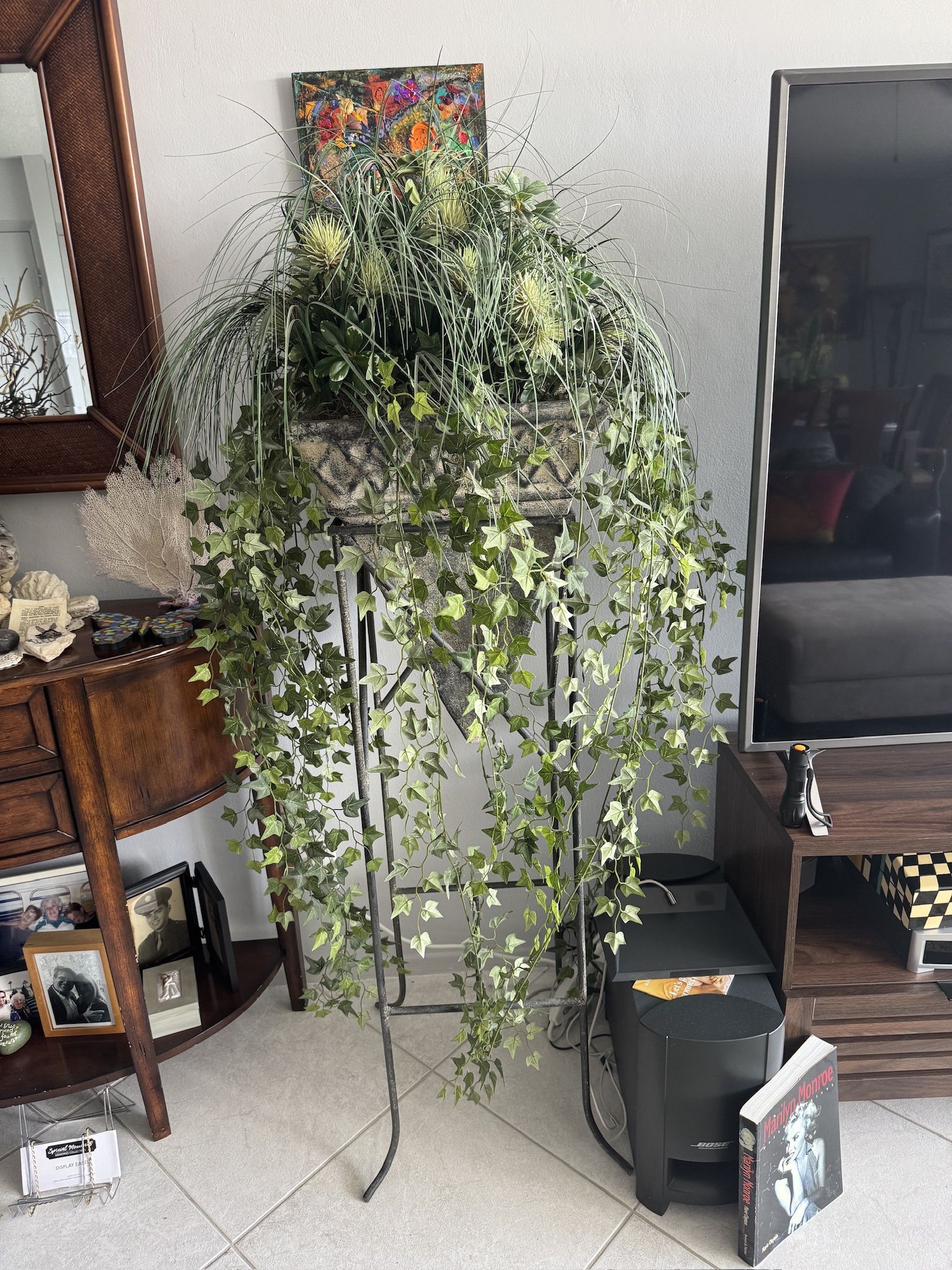 Plant Stand With Plant