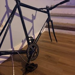 Mercier Frame 