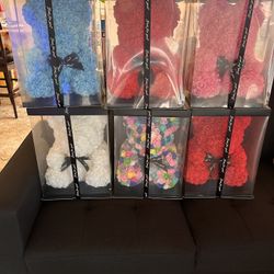 Teddy Bear Rose 🧸