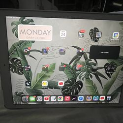 iPad Pro 12.9 / 256gb 