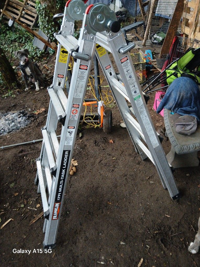 Franklin "Little Giant" Multi Task Ladder
