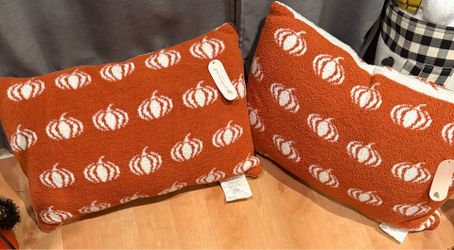New Super Soft Pair of Reversible 🎃 Pillows