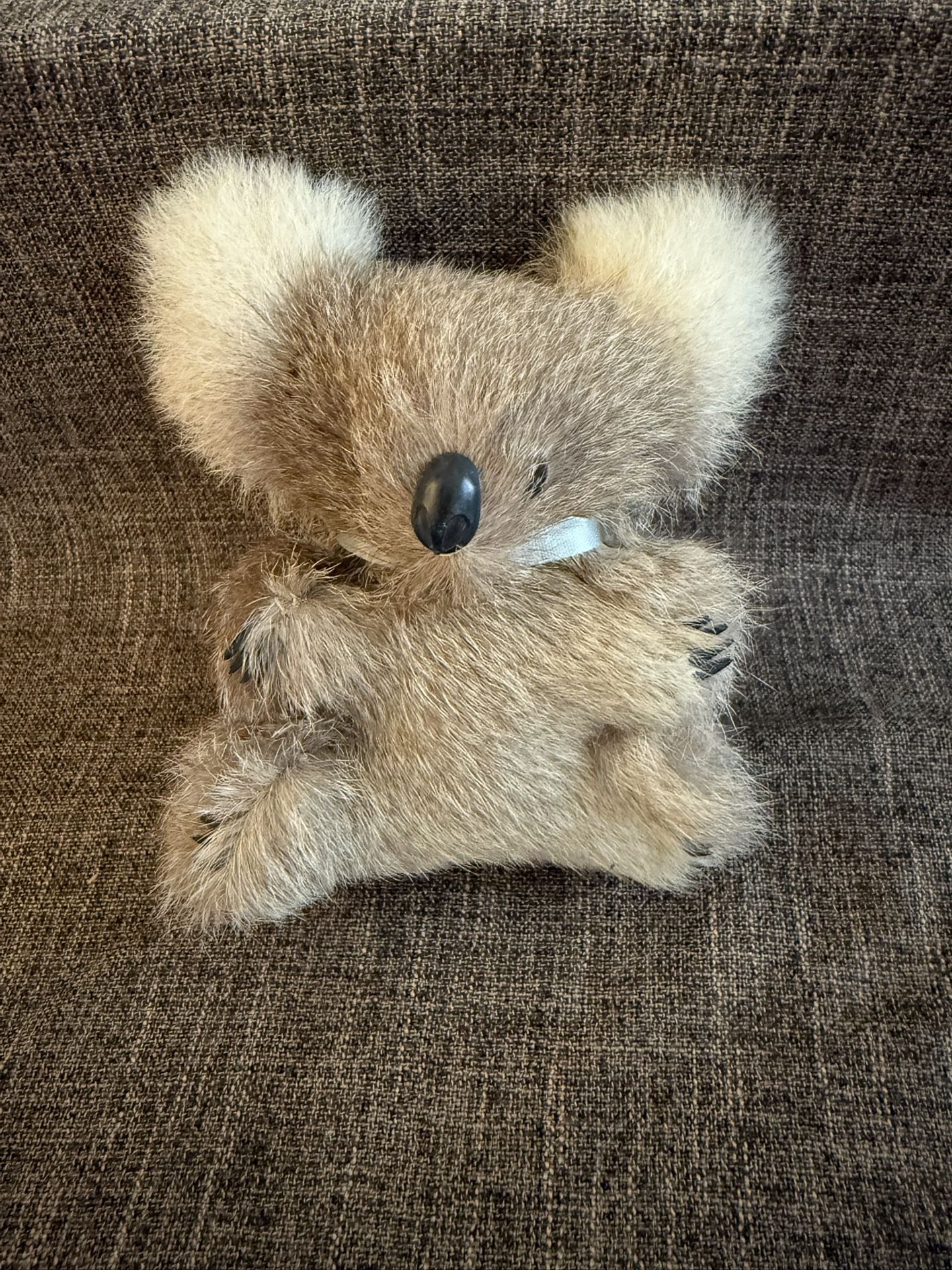 Adorable vintage koala bear plush collectable kangaroo skin made in Australia