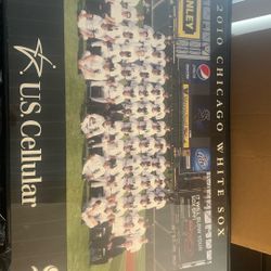 White Sox 2010 