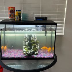 Fish Tank 
