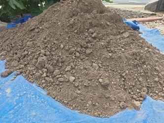 Free top soil