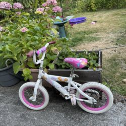 12 Inch Bike 