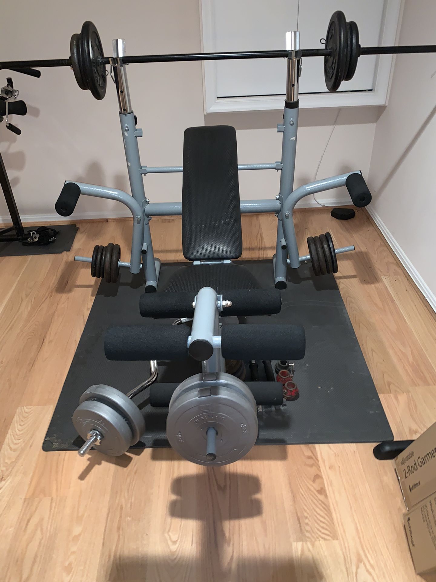 Weight bench and assorted bar bells and free weights