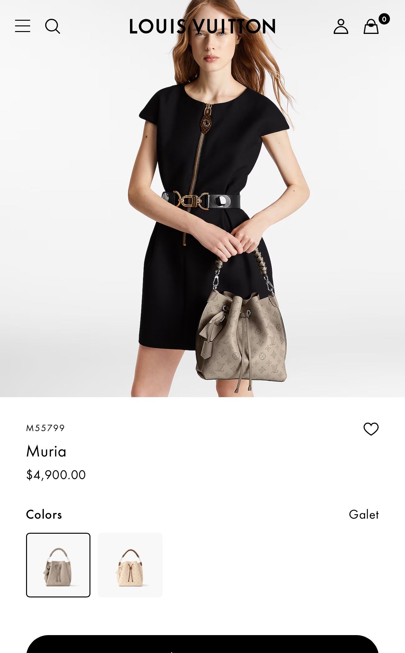Louis Vuitton Bag 
