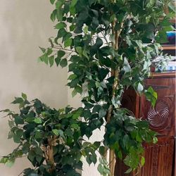 Natural Looking Artificial Plant  