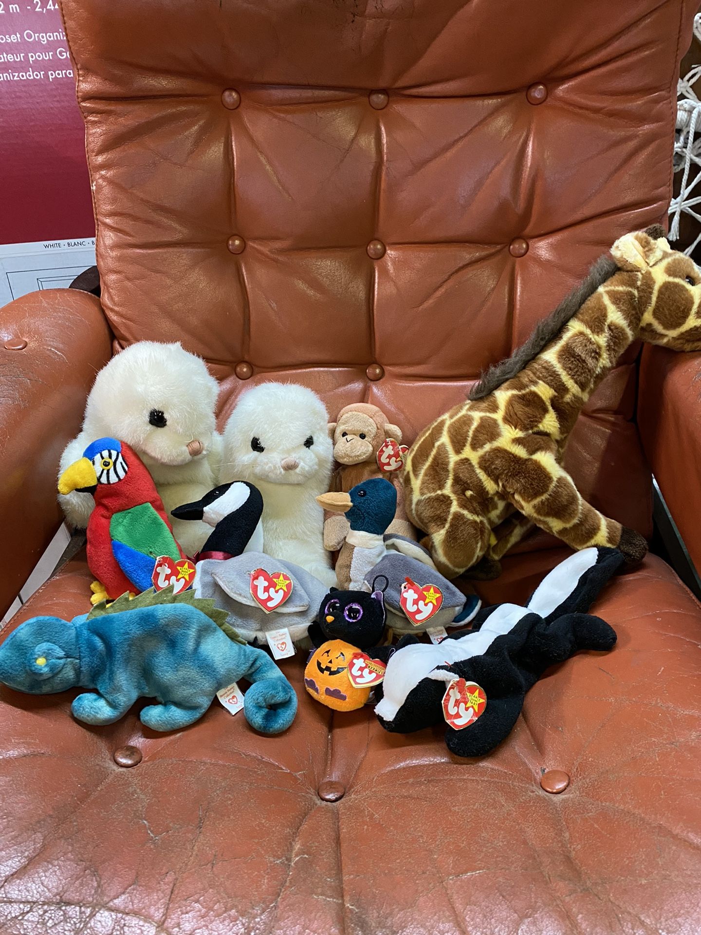 Beanie Babies Lot For Sale