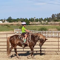 Kids Safe Trail Horse