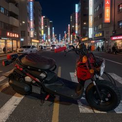 2019 Honda Ruckus