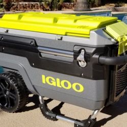Igloo Cooler 