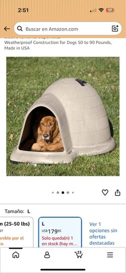 igloo dog house outdoor