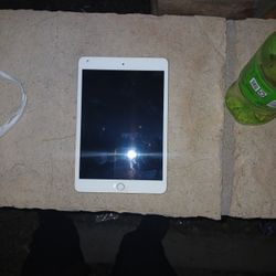 Ipad Mini 3