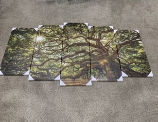 New 5 piece canvase art